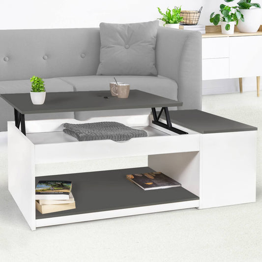 Rectangular Lift Top Coffee Table With Storage White and Gray Two Tone